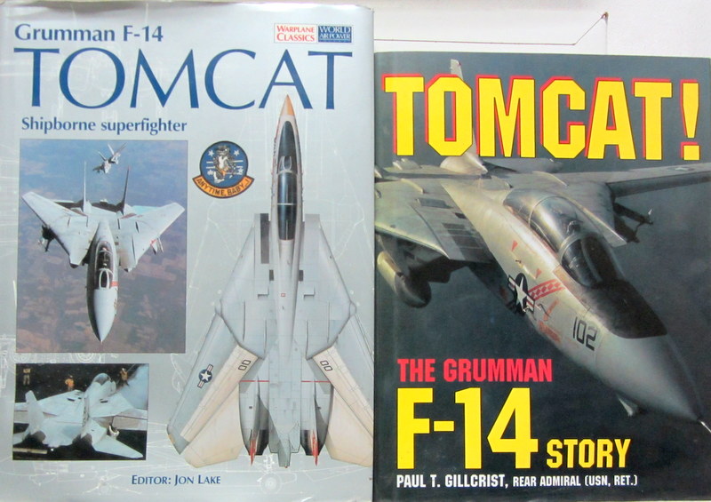 Couverture de F14 GRUMMAN TOMCAT SHIPBORNE SUPERFIGHTER - STORY EN ANGLAIS